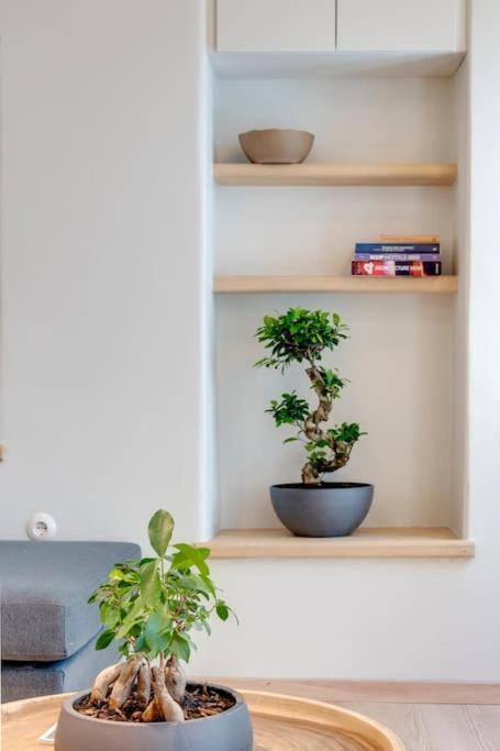 Apartament Nomade Vibrant Living Loft Ermupoli Zewnętrze zdjęcie